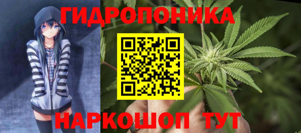 Бошки марихуана VHQ  Конопля планчик  Бошки марихуана семена  Урус-Мартан  Вход с VPN 